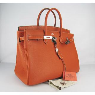 Hermes 6099