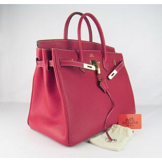 Hermes 6099