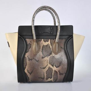 Celine 3074