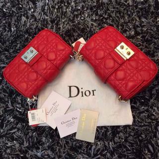 Dior AE12296