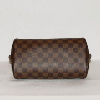 Louis Vuitton N41436