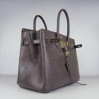 Hermes 6089