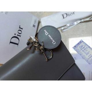 Dior YT4568