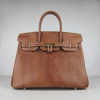 Hermes 6089