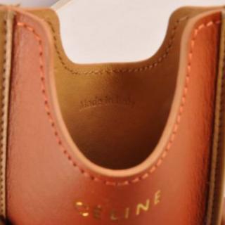 Celine 309