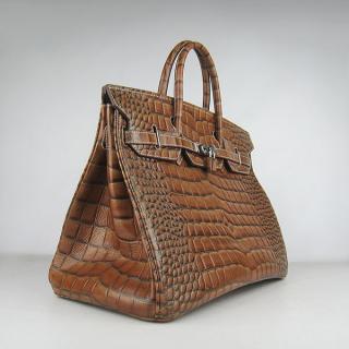 Hermes 6099