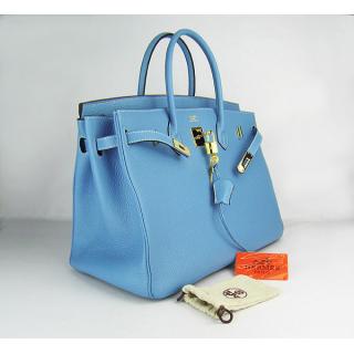 Hermes 6099