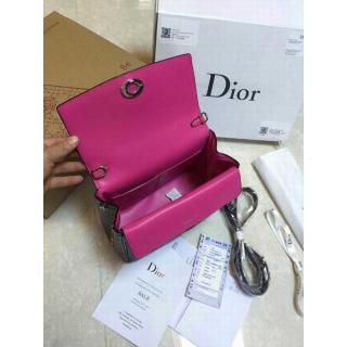 Dior YT8491