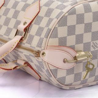 Louis Vuitton N41534