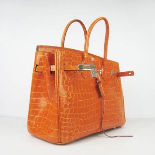 Hermes 6089