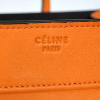 Celine 306