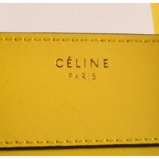 Celine 303