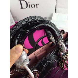 Dior YT6641