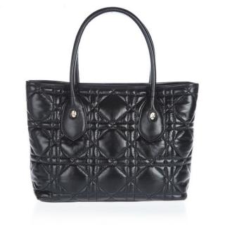 Replica Dior Ladies Handbag 52069