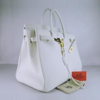 Hermes 6099