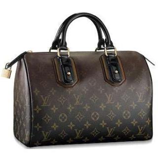 Louis Vuitton M95587